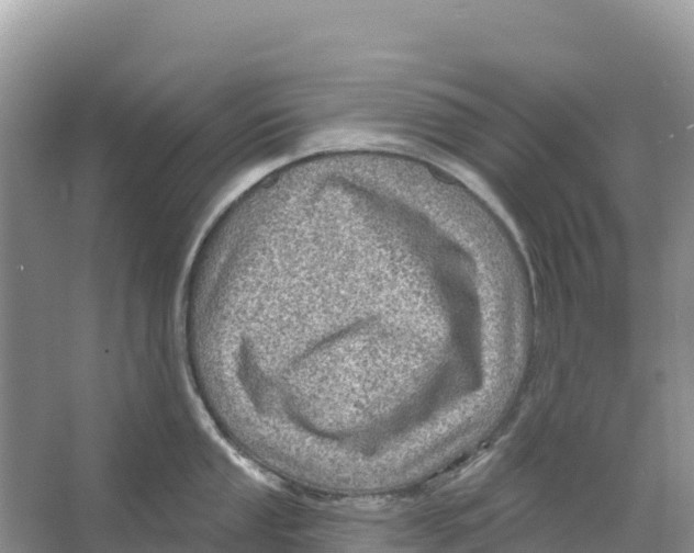 X0000066951053200604142044