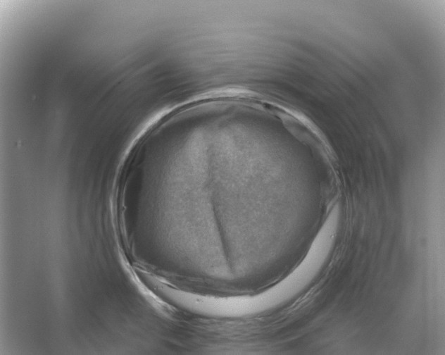 X0000066951054200604142044