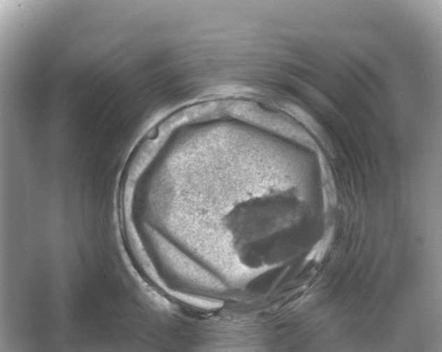 X0000066951055200604142044