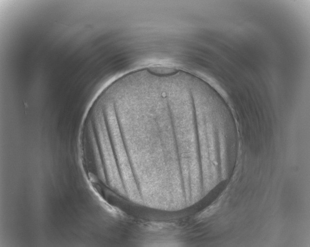 X0000066951056200604142044