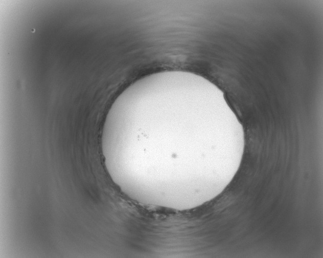 X0000066951057200604142044