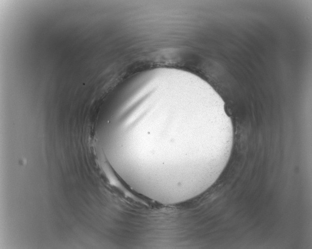 X0000066951058200604142043