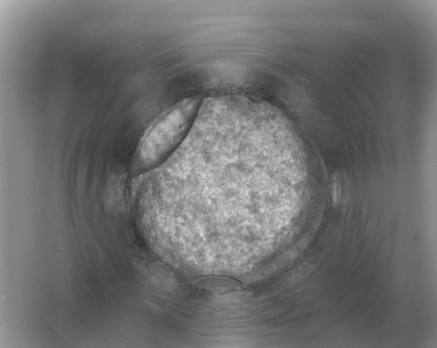 X0000066951059200604142043