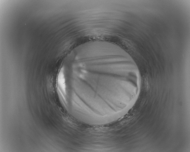 X0000066951060200604142043