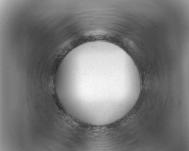 X0000066951062200604142043