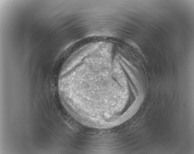 X0000066951064200604142043