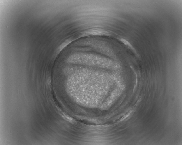 X0000066951065200604142043