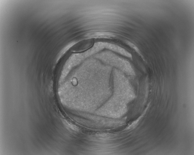 X0000066951066200604142043