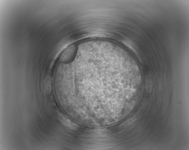 X0000066951067200604142043