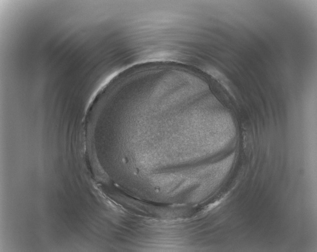 X0000066951069200604142043