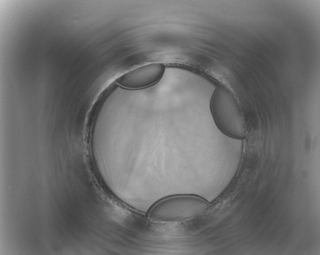 X0000066951071200604142043