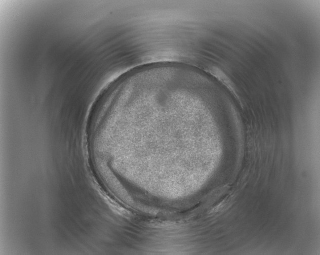 X0000066951072200604142043