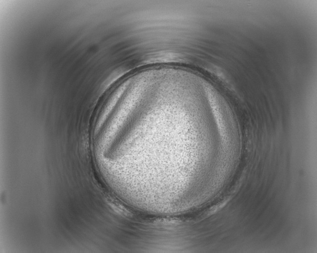 X0000066951073200604142043