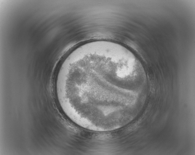 X0000066951074200604142043