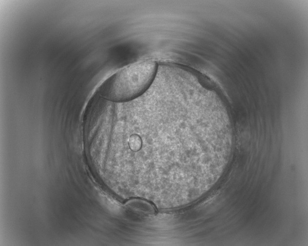 X0000066951075200604142043