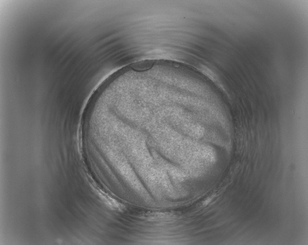 X0000066951076200604142043