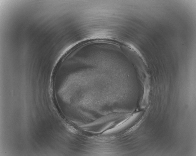 X0000066951077200604142043