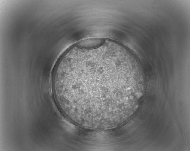 X0000066951079200604142043