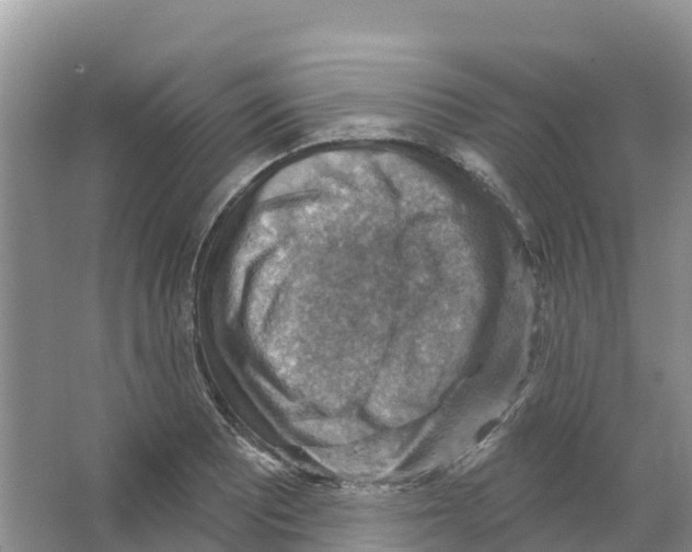 X0000066951081200604142043