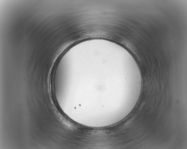 X0000066951082200604142043