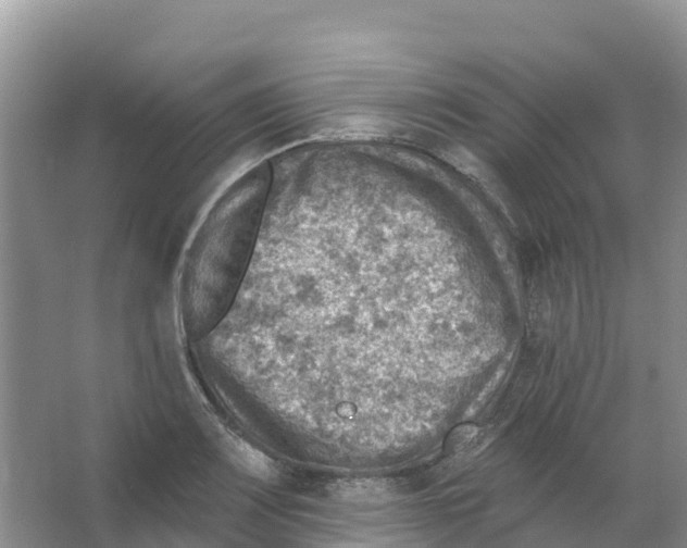 X0000066951083200604142043