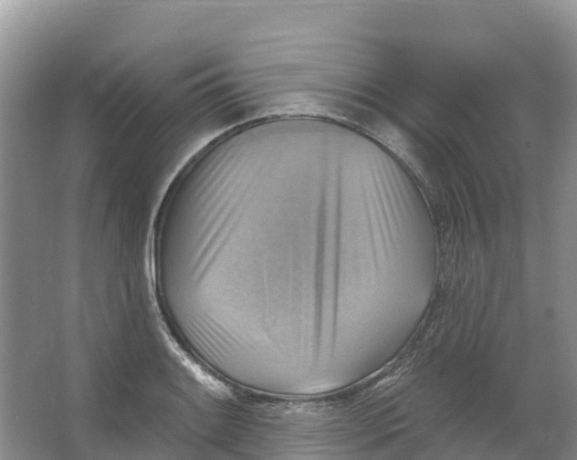 X0000066951084200604142043