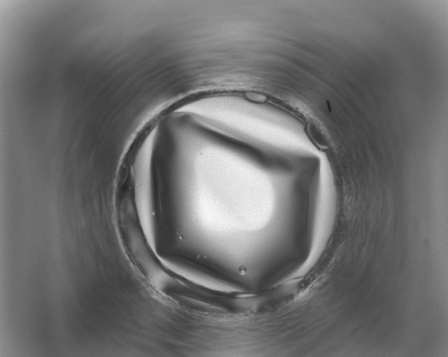 X0000066951085200604142043