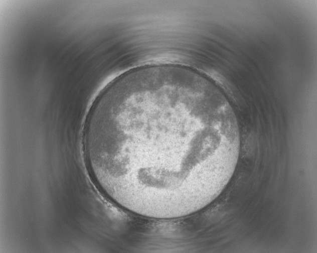 X0000066951086200604142043