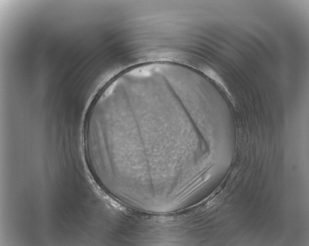 X0000066951088200604142043