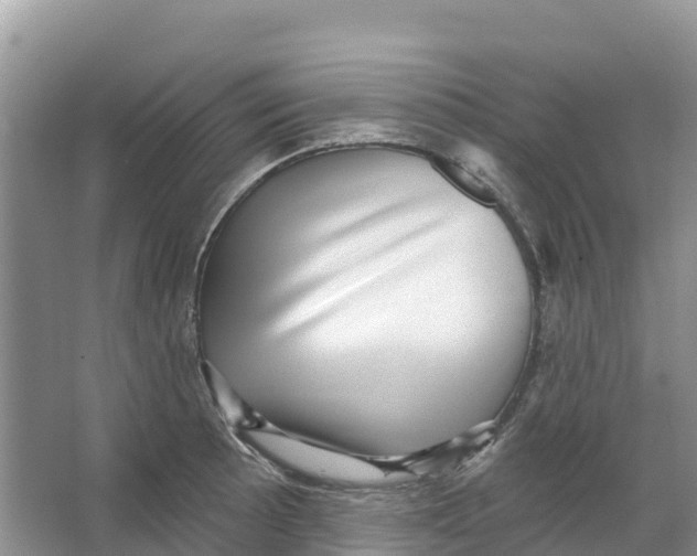 X0000066951089200604142043