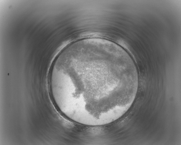 X0000066951090200604142043