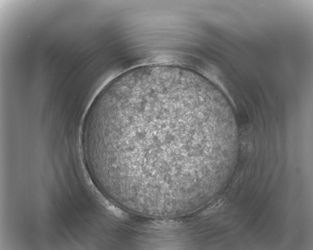 X0000066951091200604142043