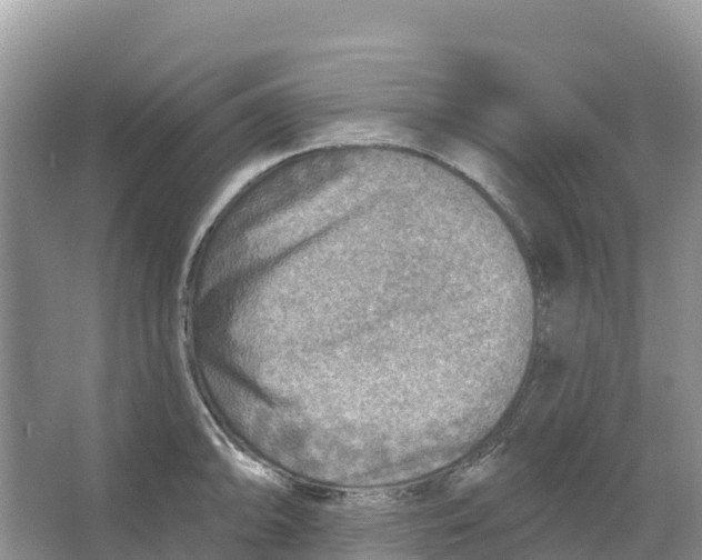 X0000066951094200604142043