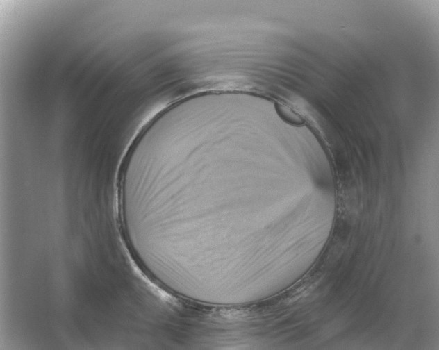 X0000066951095200604142043