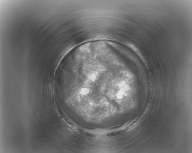 X0000066951097200604142043