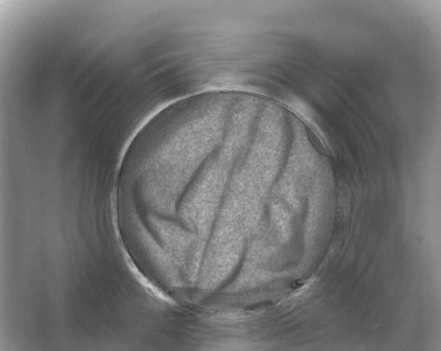 X0000066951100200604142043