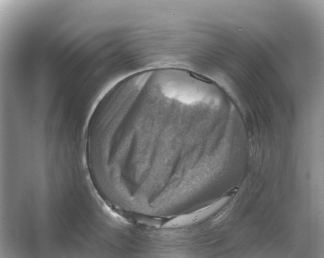 X0000066951102200604142043