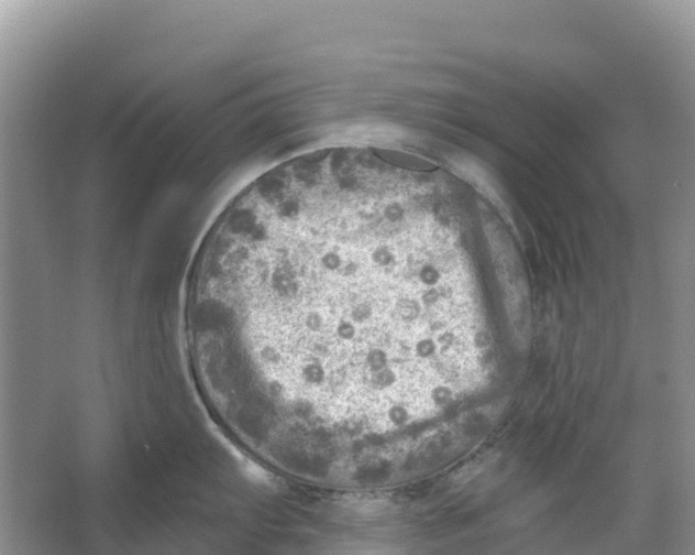 X0000066951103200604142043