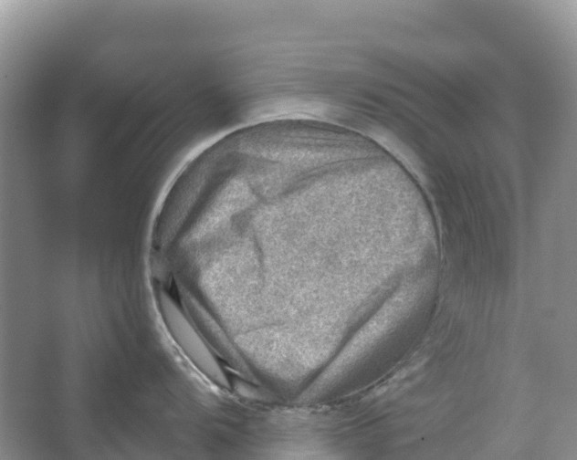 X0000066951104200604142043