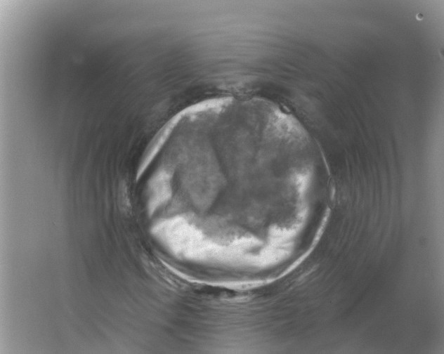 X0000066951106200604142042