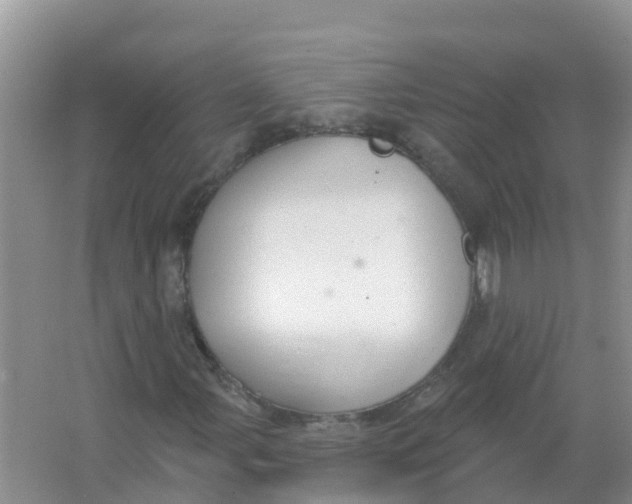 X0000066951107200604142042