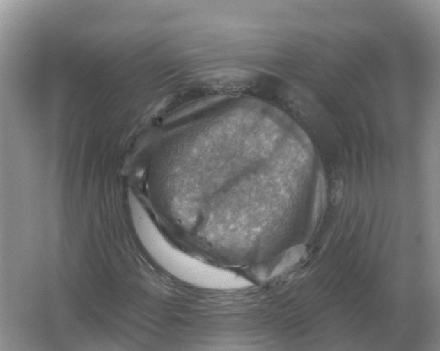 X0000066951108200604142042