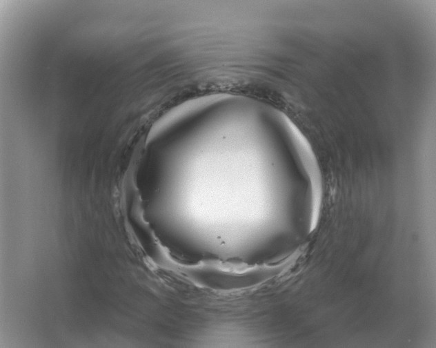 X0000066951109200604142042