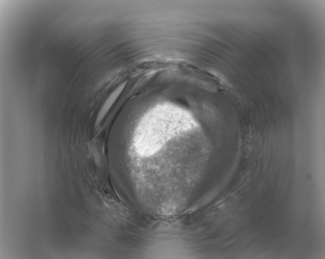 X0000066951110200604142042