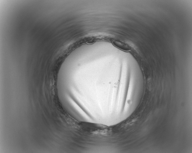 X0000066951111200604142042