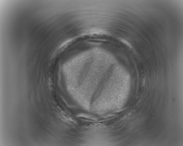 X0000066951112200604142042