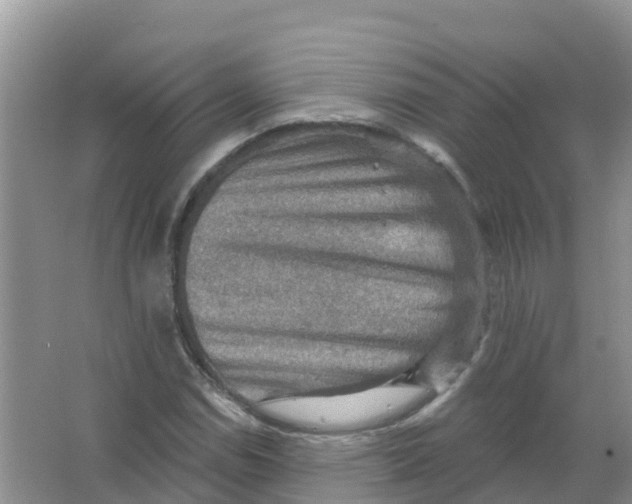 X0000066951114200604142042