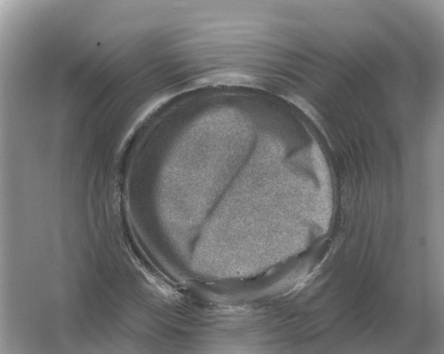 X0000066951115200604142042