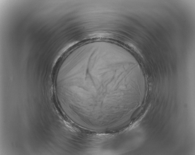 X0000066951117200604142042