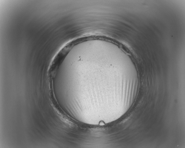 X0000066951118200604142042